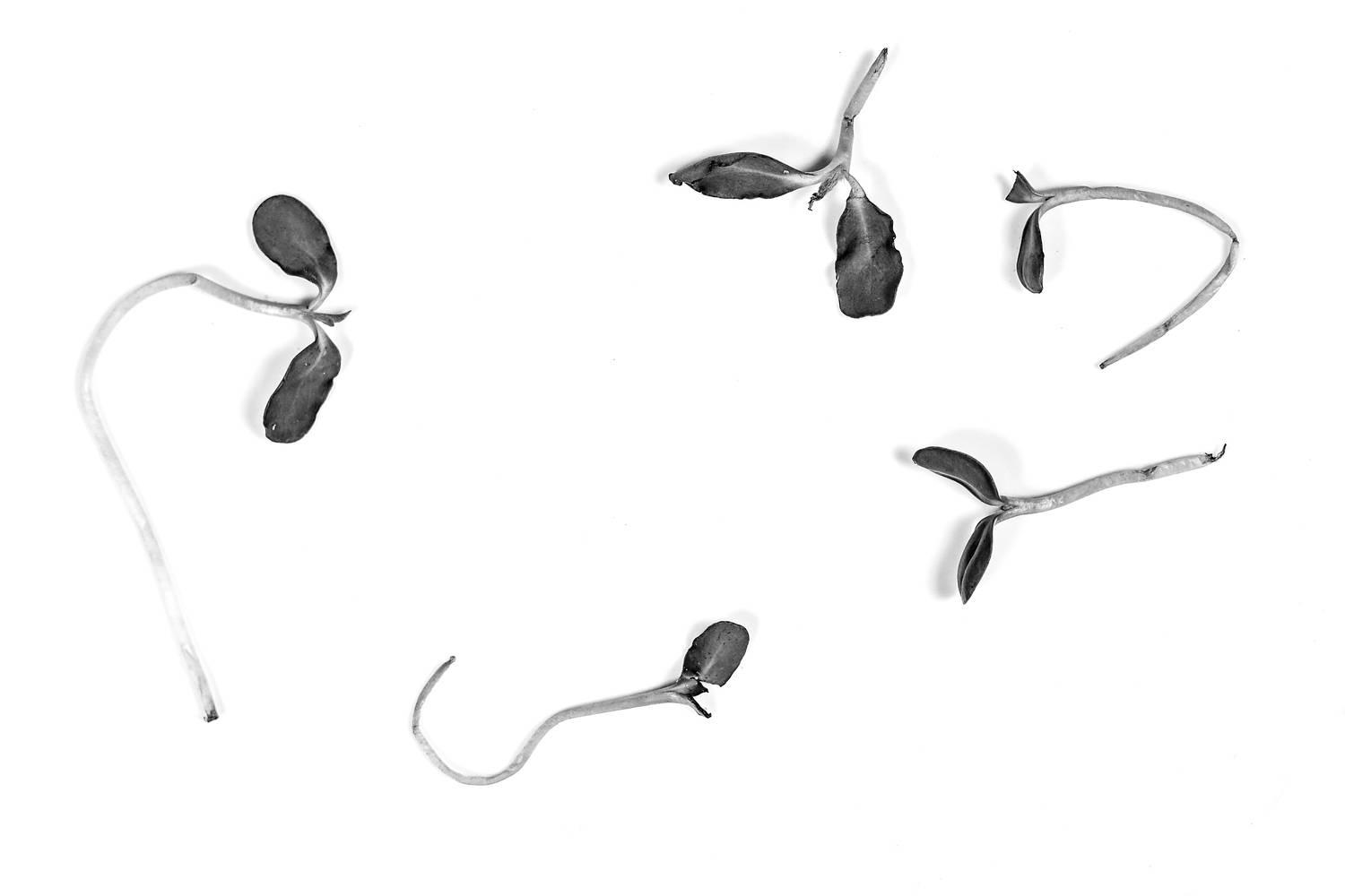 Фотография #11651868