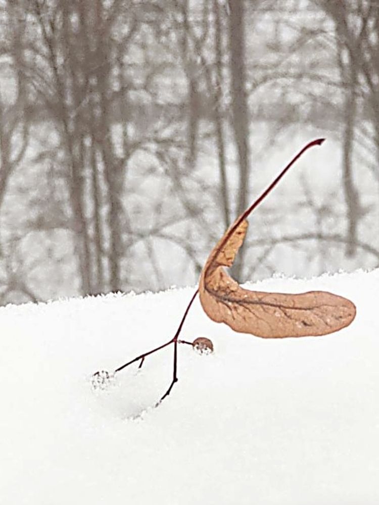 Photograph by Анна Андреевна