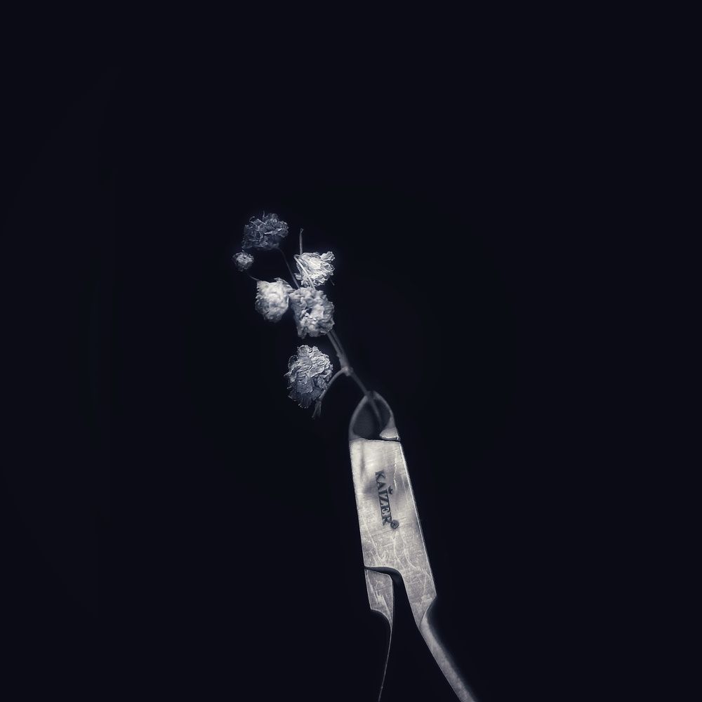 Photograph by Лариса Мик