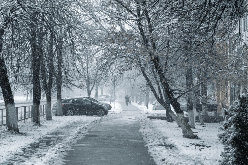 Photograph by Мартынов Константин