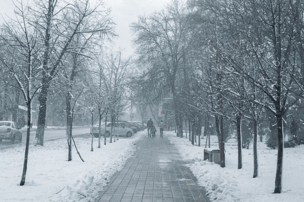 Photograph by Мартынов Константин