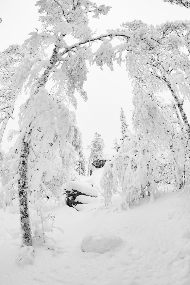 Photograph by Алексей Середенин