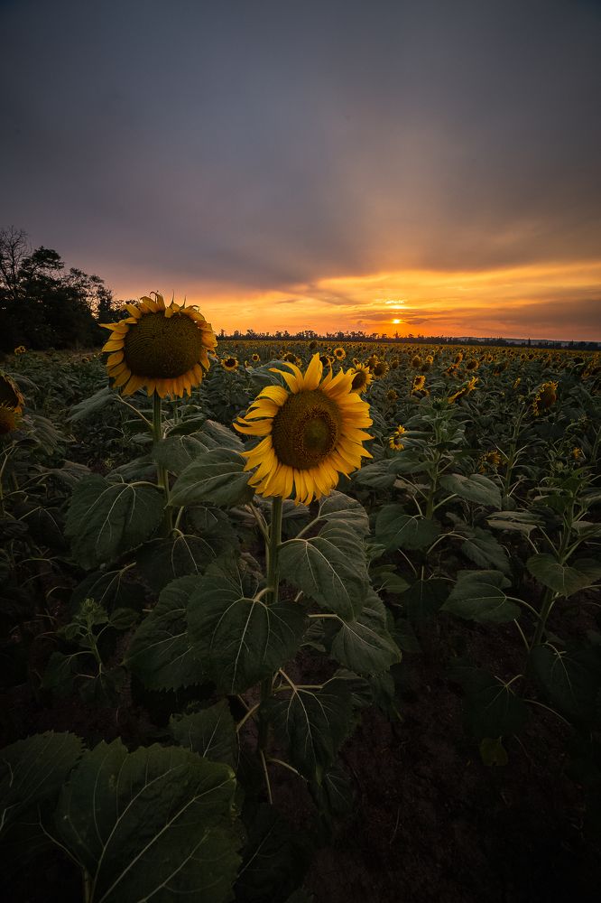 Photograph by Филипп Бабенко