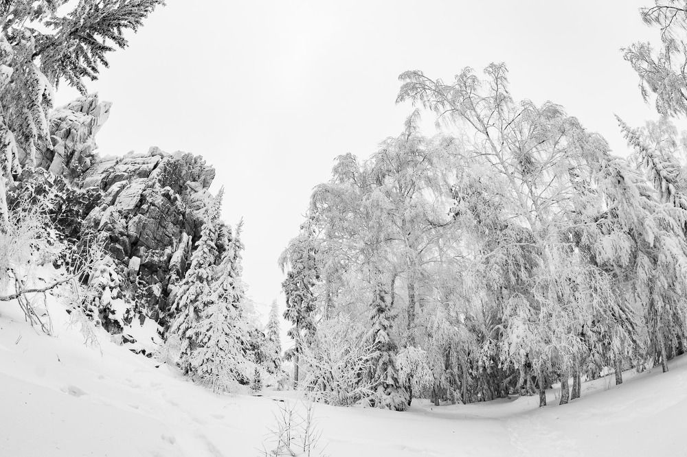 Photograph by Алексей Середенин