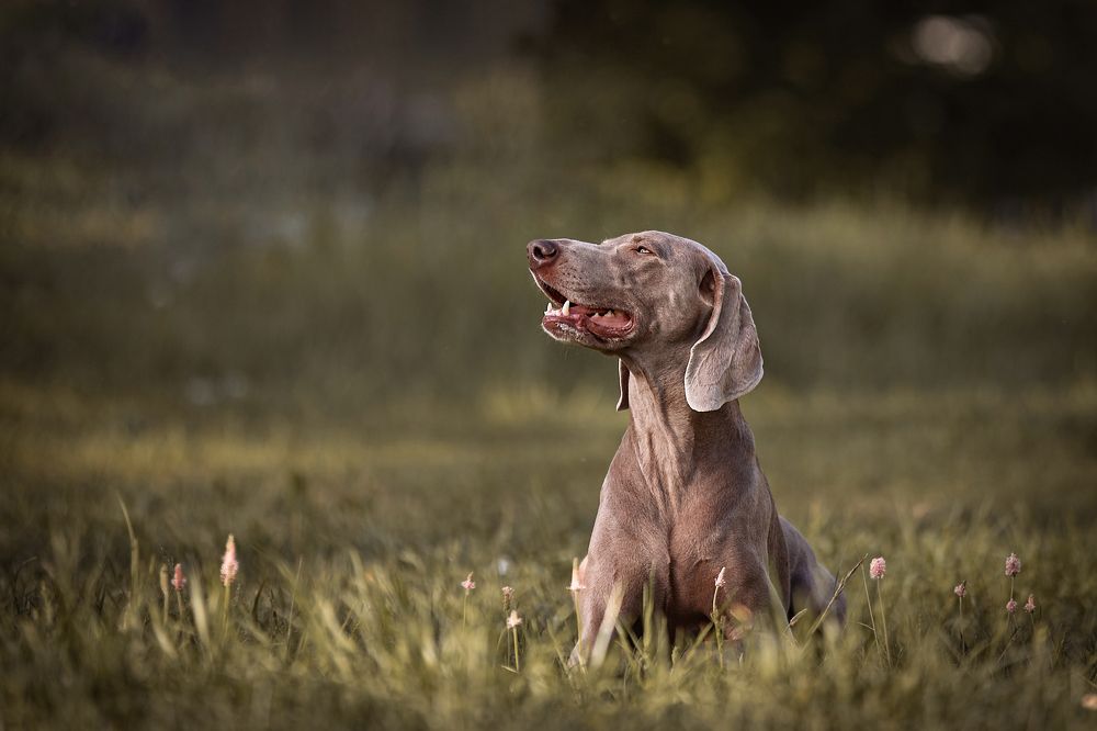 Photograph by Татьяна Тихомирова