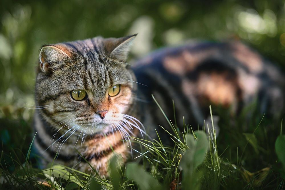 Photograph by Нуждин Андрей