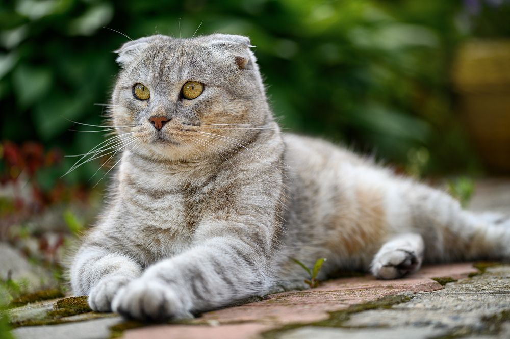 Photograph by Нуждин Андрей