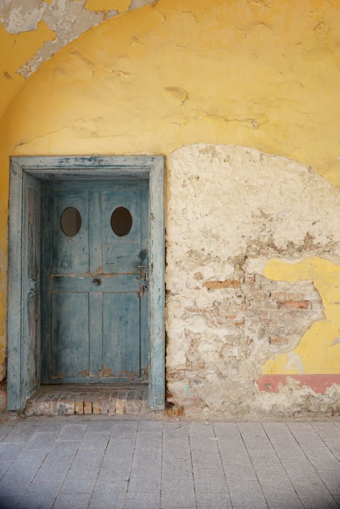 Photograph by Maximova Julia