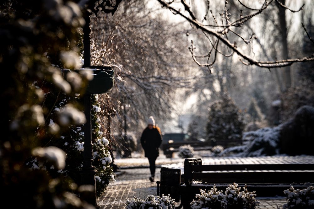 Photograph by Дмитрий Гусаков