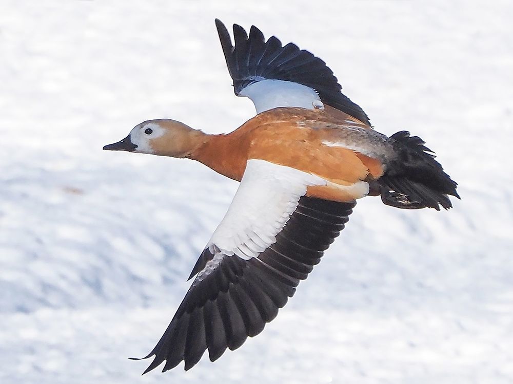 Photograph by Духанин Сергей