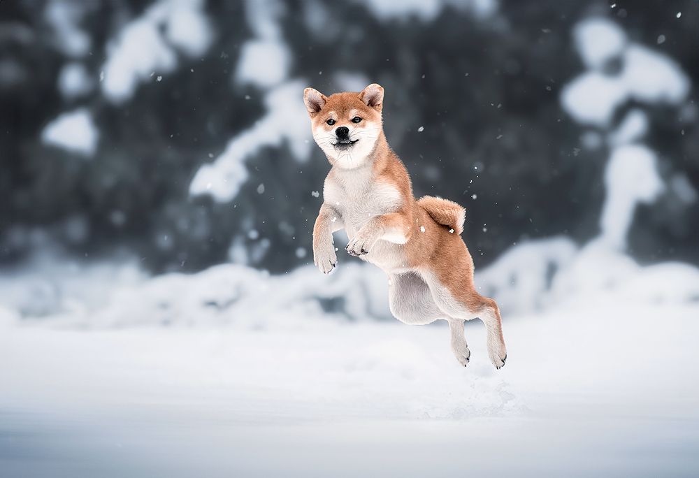 Photograph by Laura Quintanel