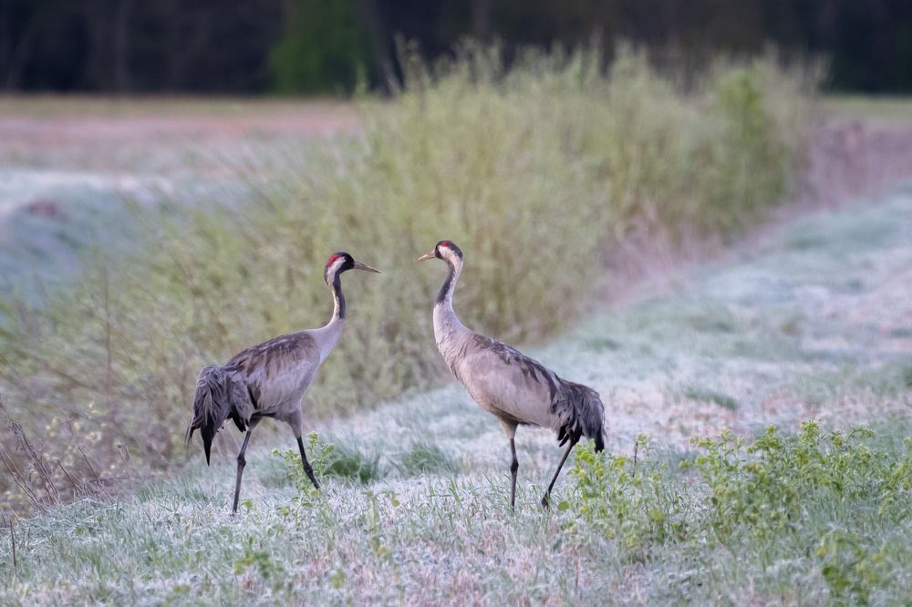 Photograph by Intars Supins