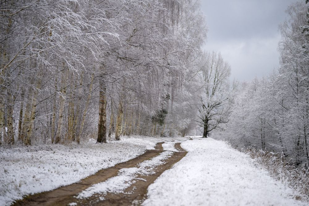 Photograph by Intars Supins