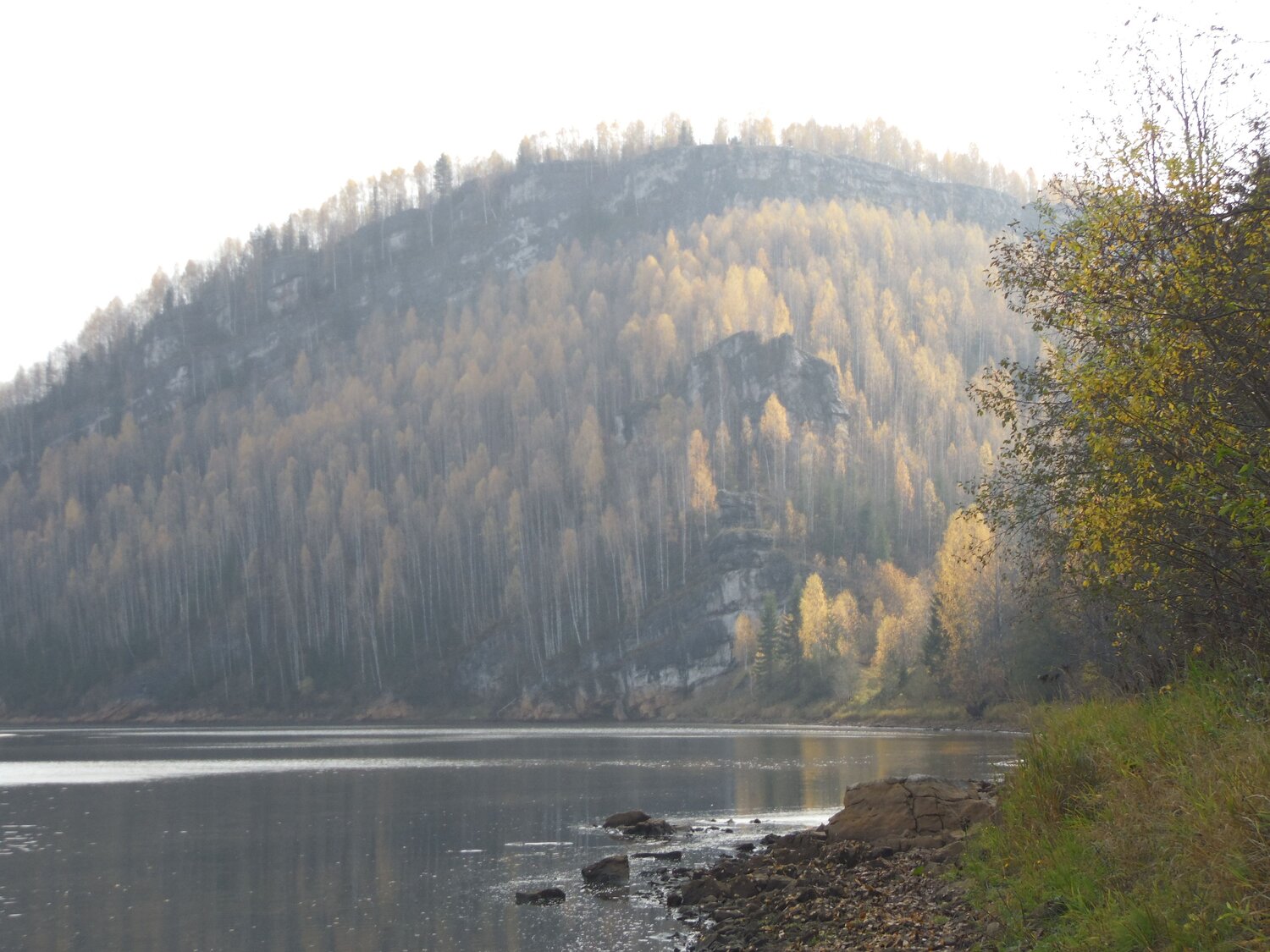 Photo #11652515