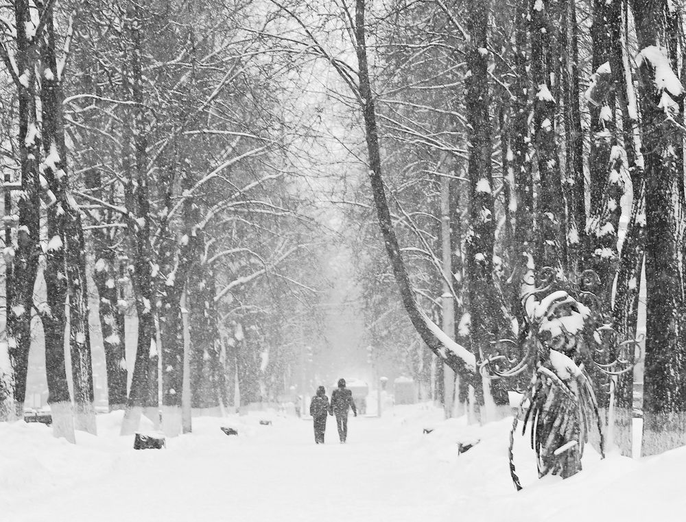 Фотография автора Светлана Бакулина