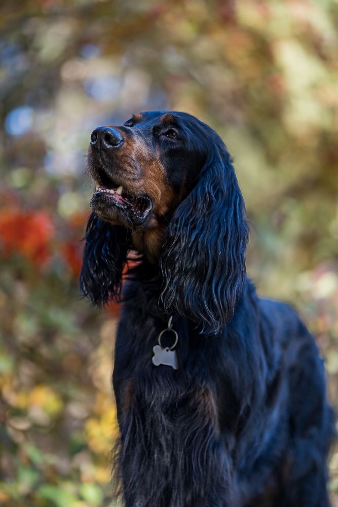 Photograph by Ольга Ченцова