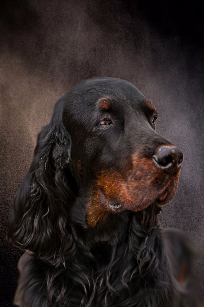 Photograph by Ольга Ченцова