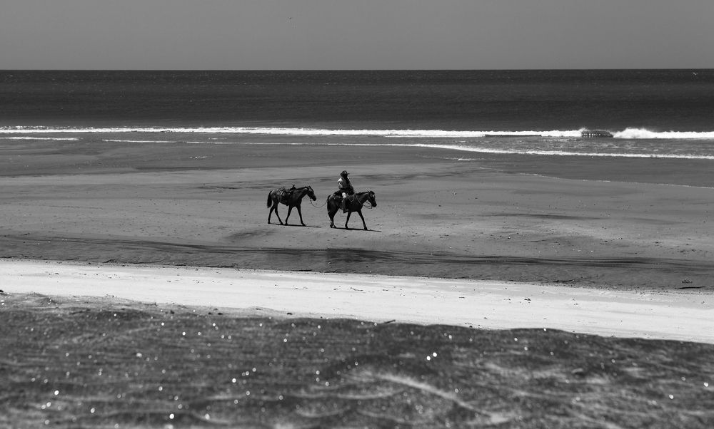 about a lonely cowboy