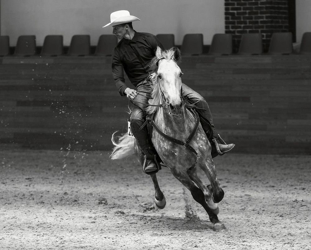 Галоп к победе