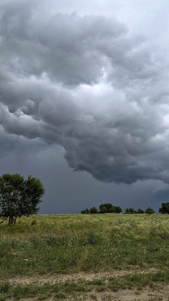 Фотография автора Marina