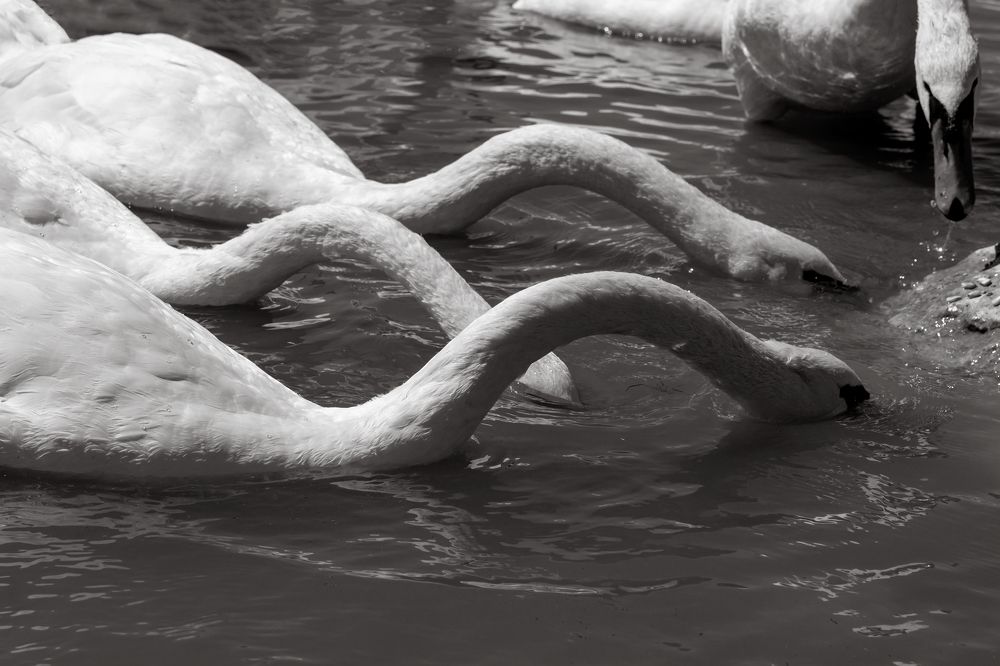 Нежная геометрия