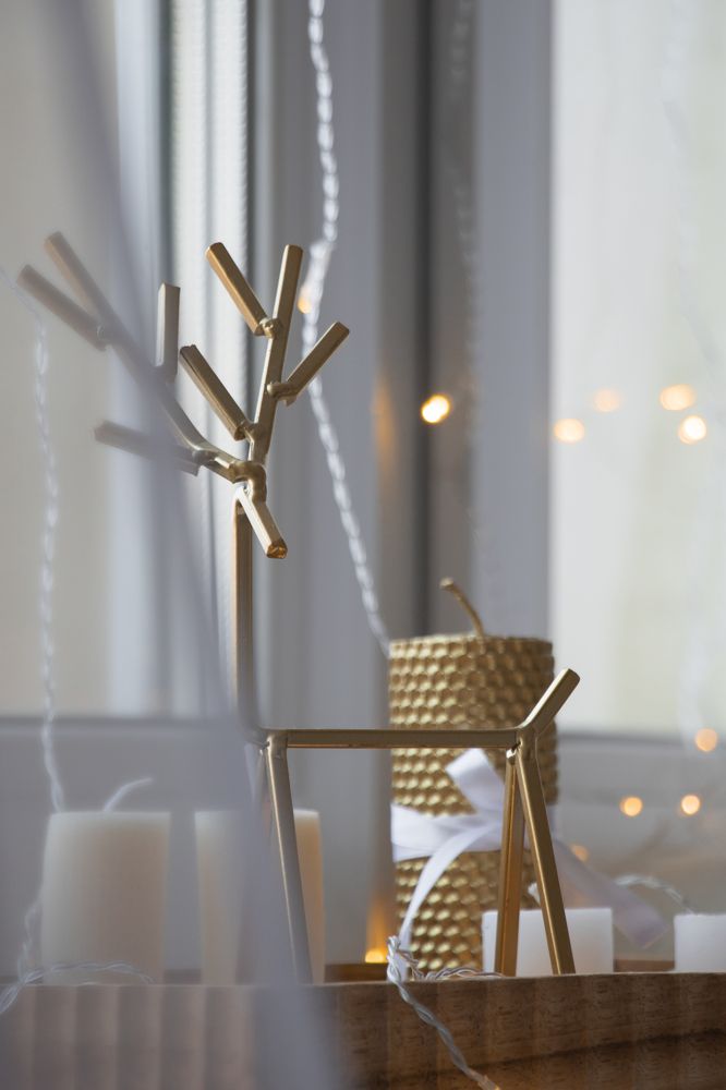 Фотография автора Мария Амбражевич