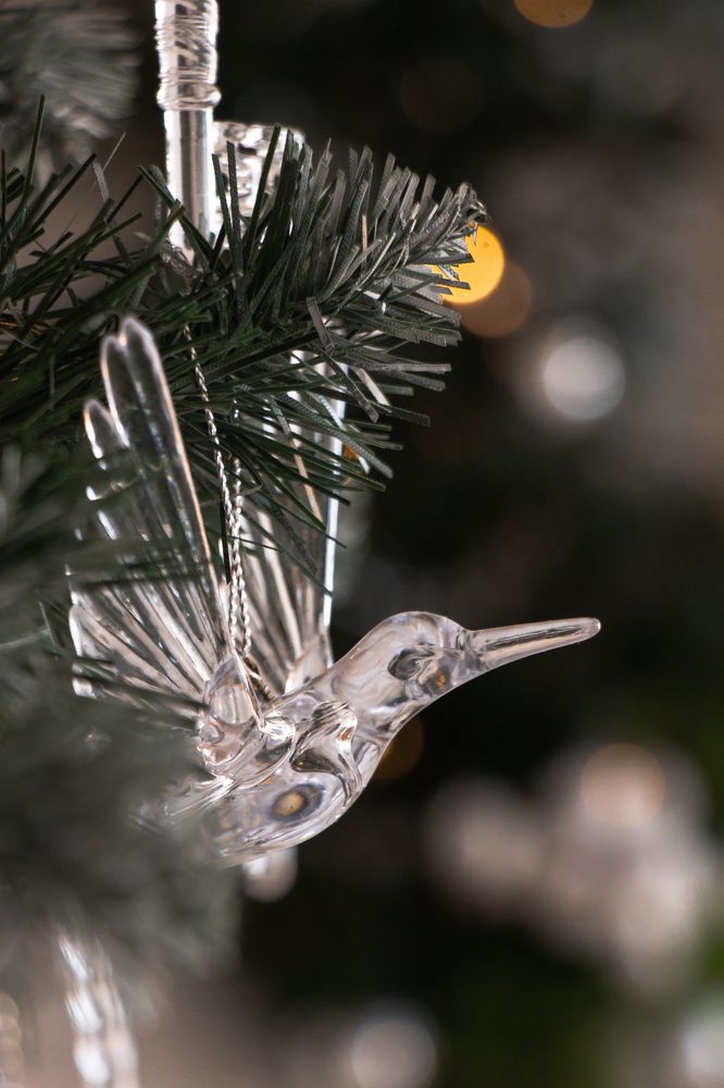 Фотография автора Мария Амбражевич