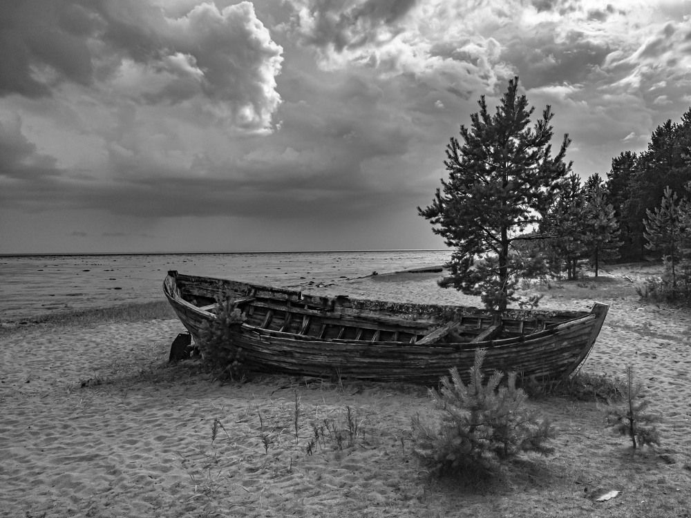 Фотография автора Александр Довганюк