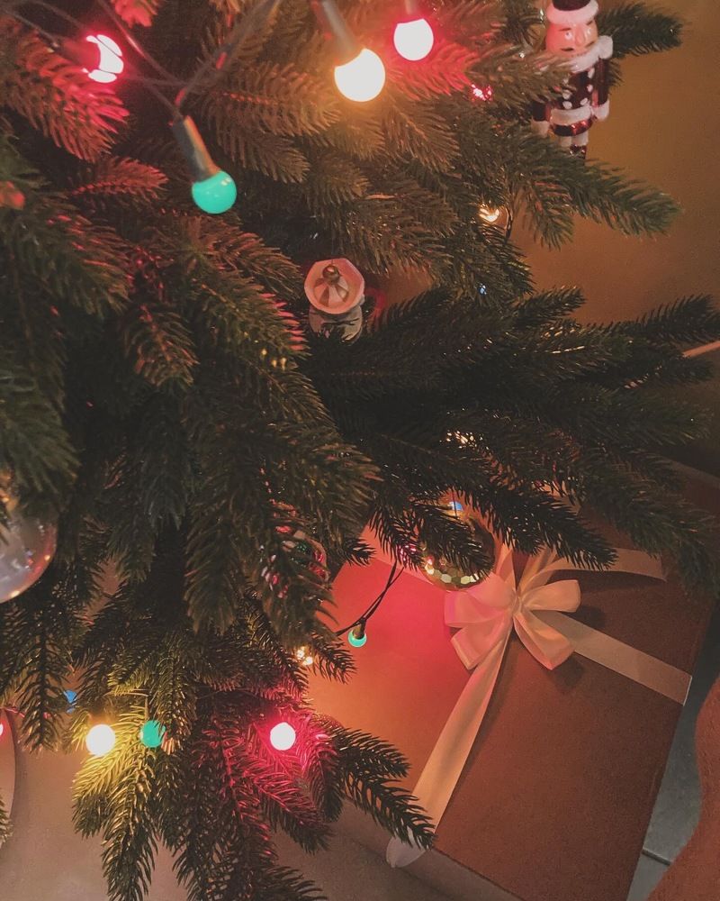 Фотография автора Алина Павлова