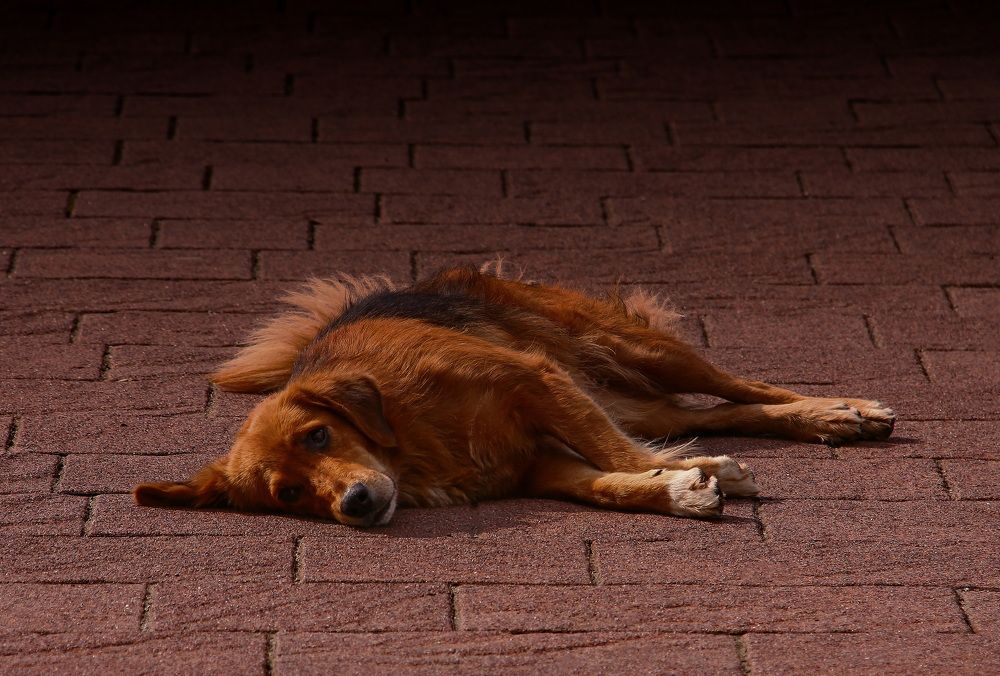 Photograph by Илья