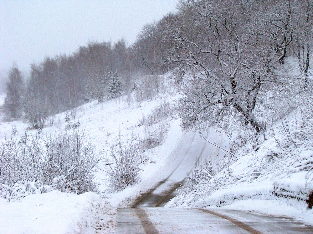 Photograph by Лада Кляузина