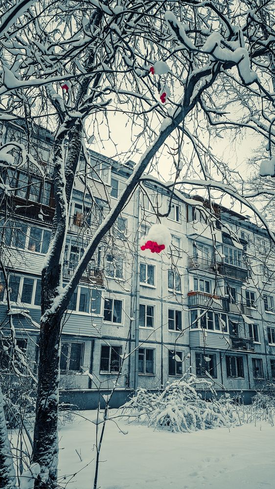 Зима среди пятиэтажек.