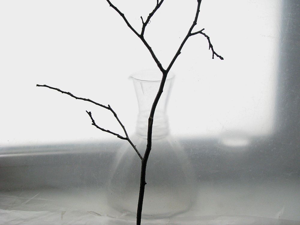 Photograph by Лада Кляузина