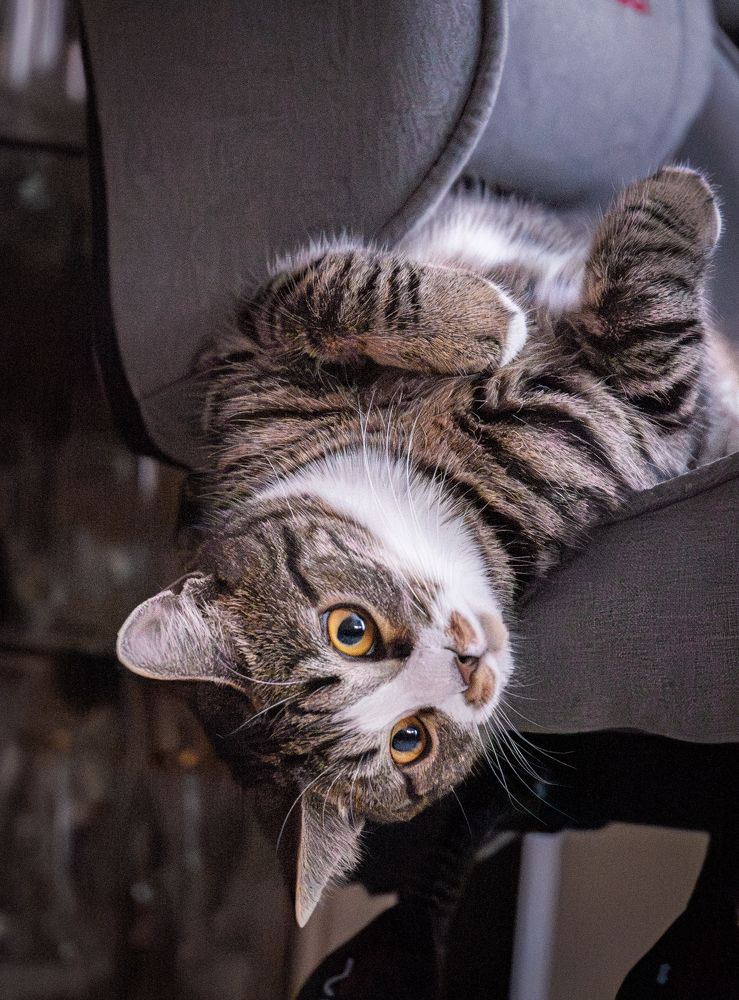 Photograph by Evgeny Ilyin