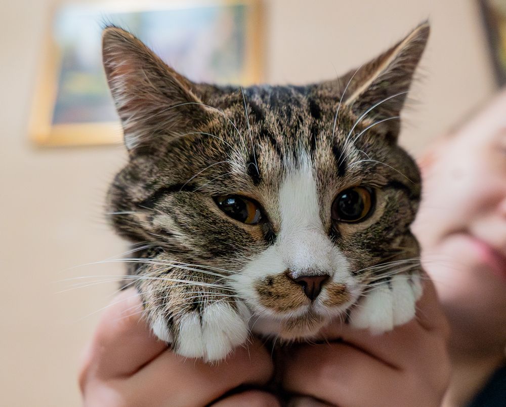 Photograph by Evgeny Ilyin