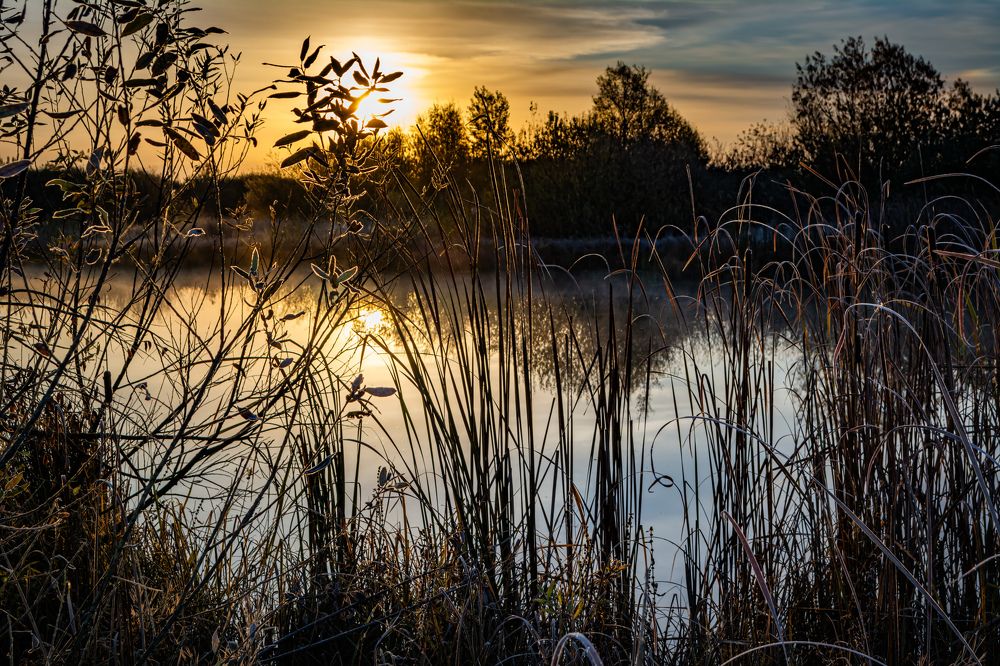 Photograph by Евгений