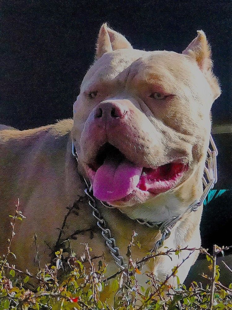 Photograph by jelena konickaja