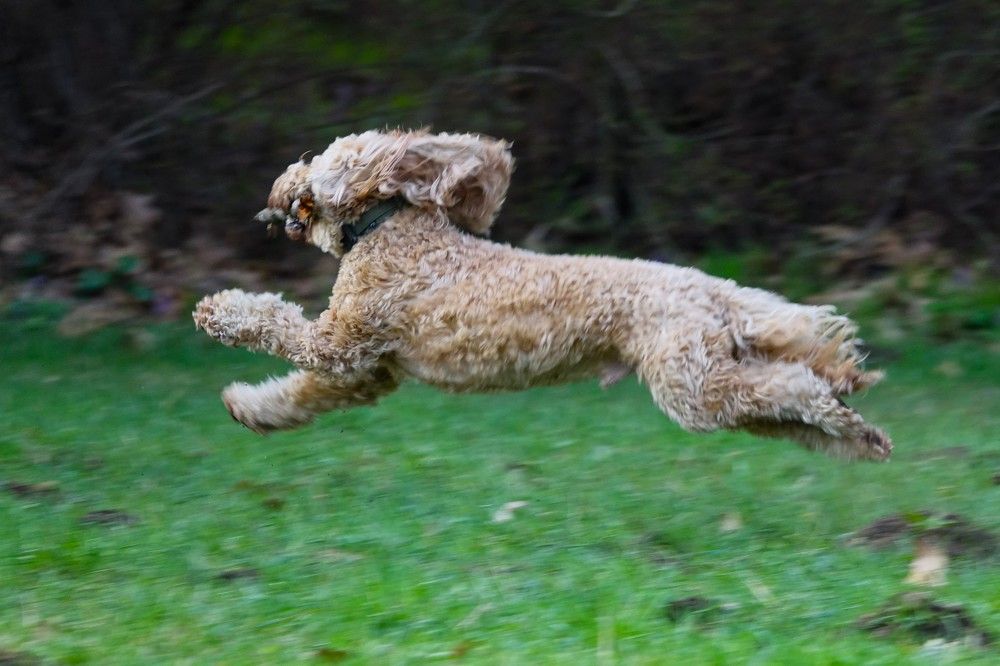 Photograph by jelena konickaja