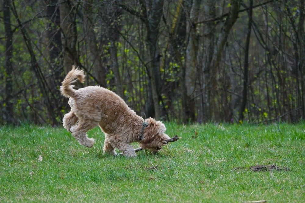 Photograph by jelena konickaja