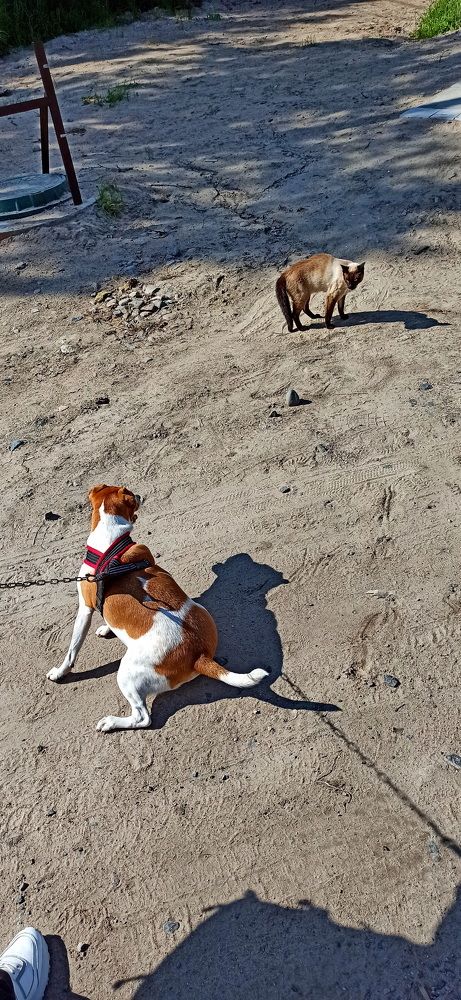 Фотография автора Сергей Тимофеев