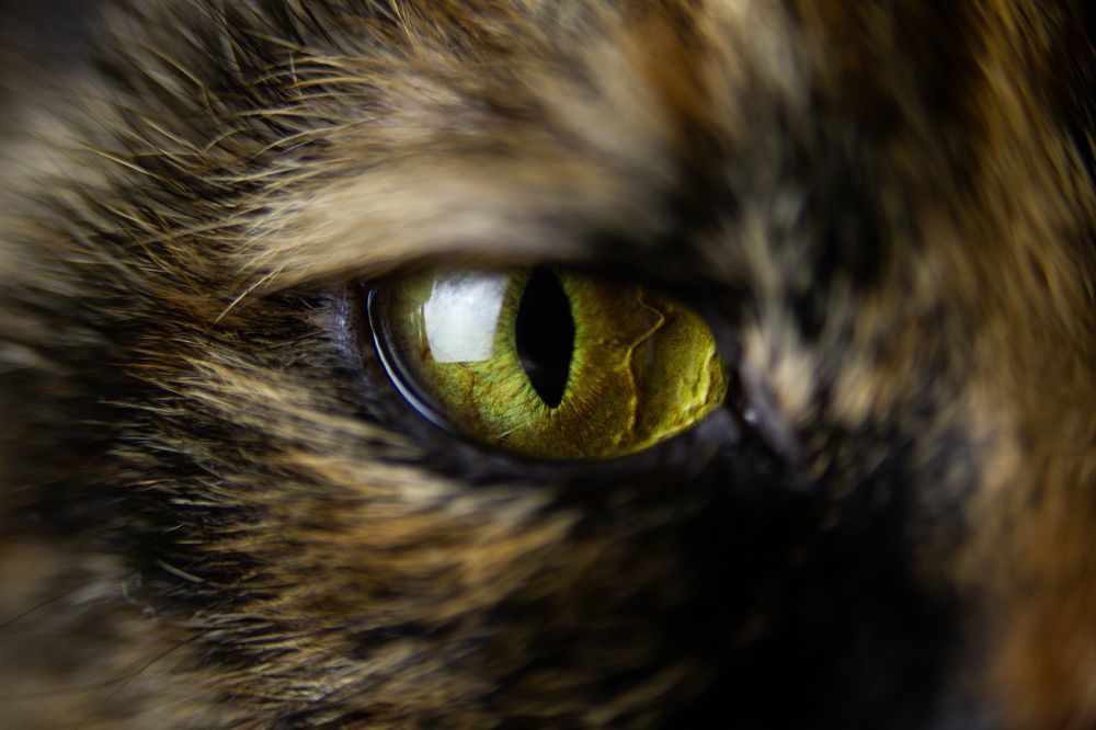 Посмотри на меня(Look at me)