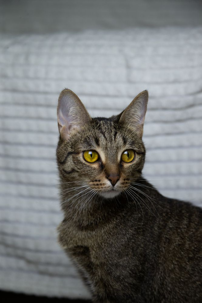 Когда ты кажешься нормальным(нет)