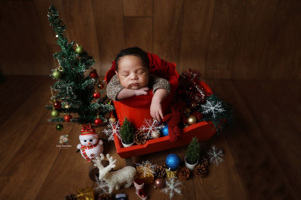 Photograph by LIAT GENDLER