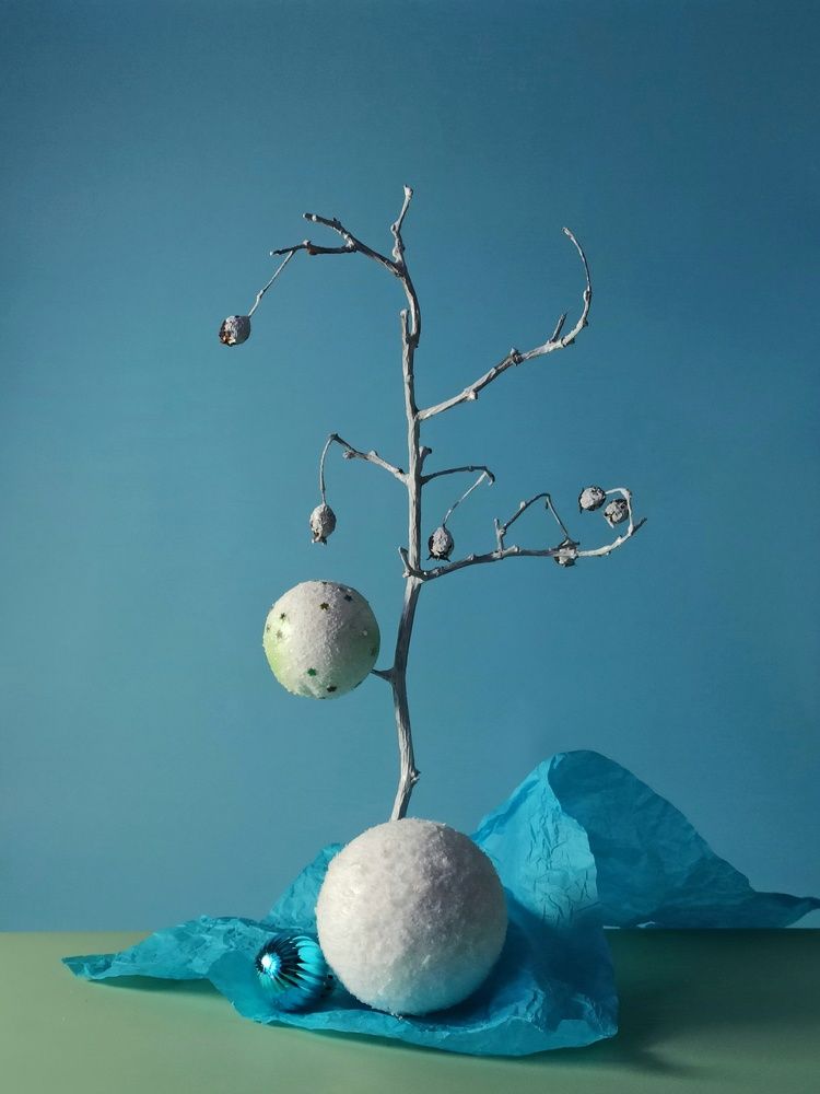 Photograph by Elena Novikova