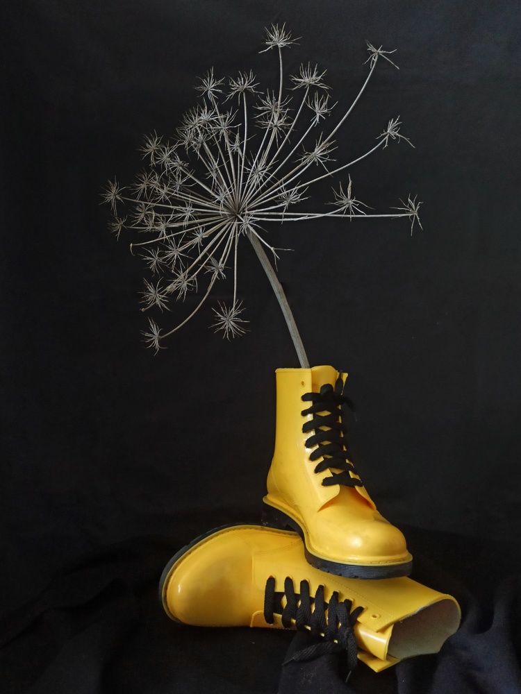 Photograph by Elena Novikova