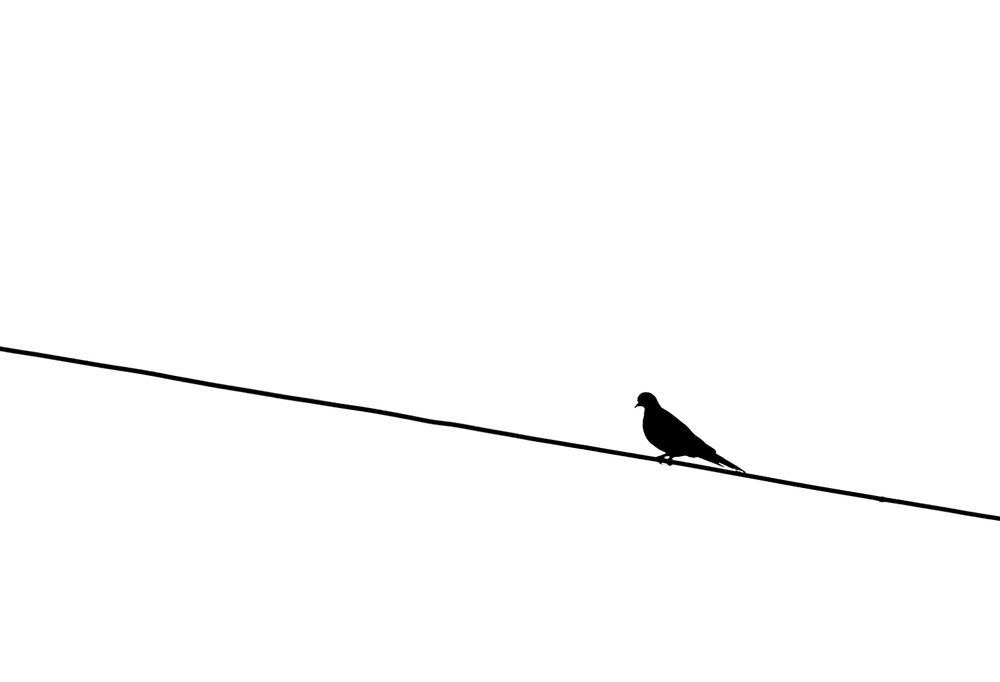 Фотография автора Abdallah Mogy