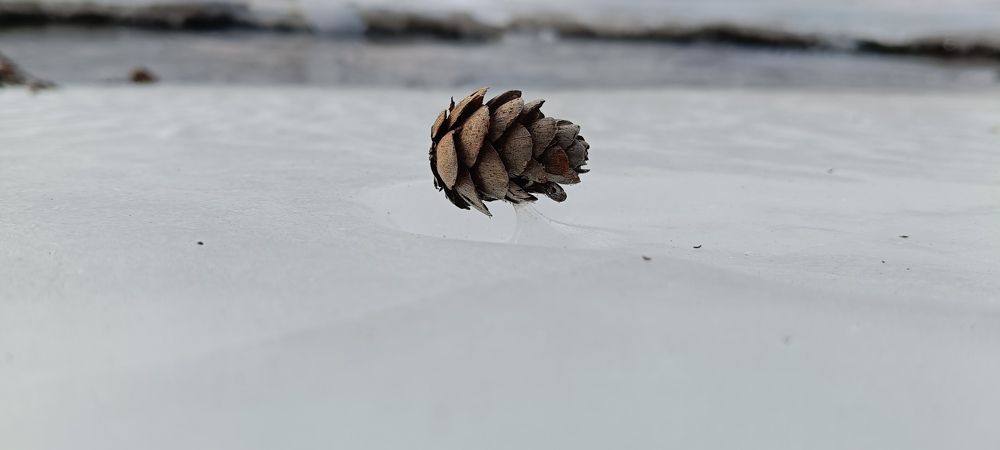 Photograph by СТЕПАН ДЖУЛАКИДЗЕ