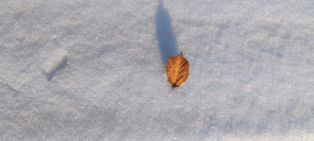 Photograph by СТЕПАН ДЖУЛАКИДЗЕ