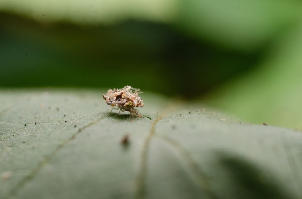 Фотография автора Илья