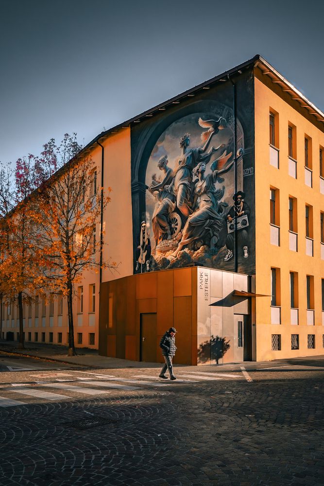 Photograph by Denis Cristian BURMELEAC